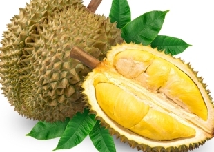 tong-quan-ve-nganh-xuat-nhap-khau-nong-san-viet-nam